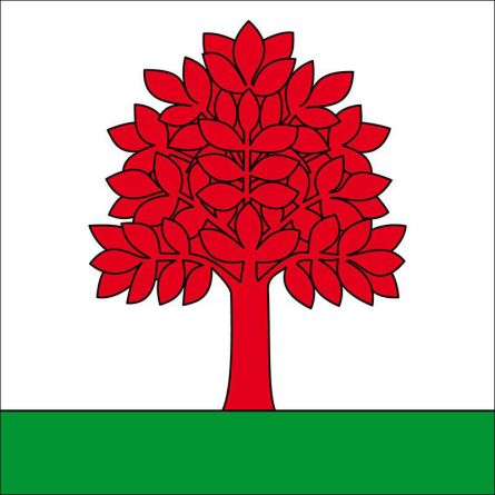 Buch Am Irchel flag